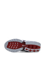 NIKE AIR MAX DN "USA"