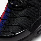 Nike Airmax Plus TN “Unity/Berlin”
