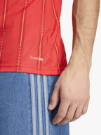 Mens Spain Home World Cup 26 Red Stadium Jersey