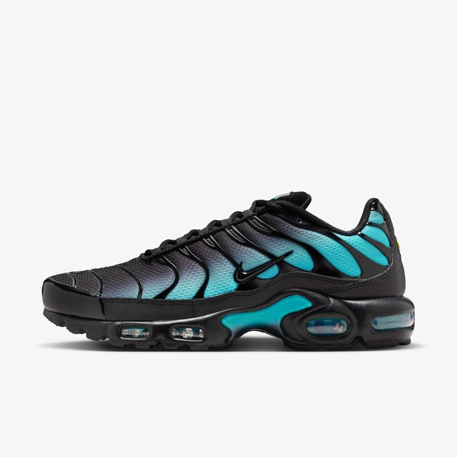 Nike Air Max Plus Tn 'Black Dusty Cactus'