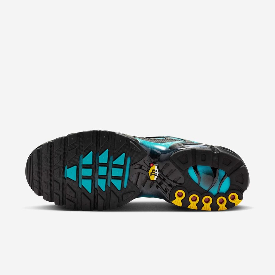 Nike Air Max Plus Tn 'Black Dusty Cactus'