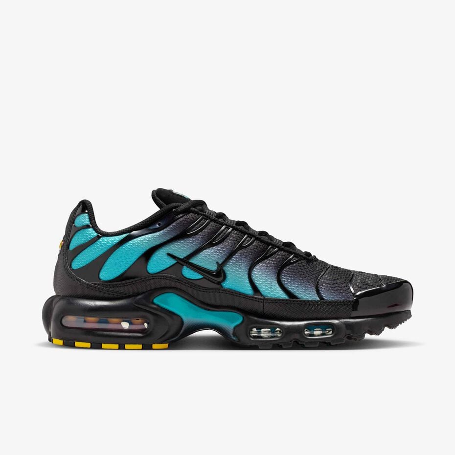 Nike Air Max Plus Tn 'Black Dusty Cactus'