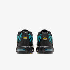 Nike Air Max Plus Tn 'Black Dusty Cactus'