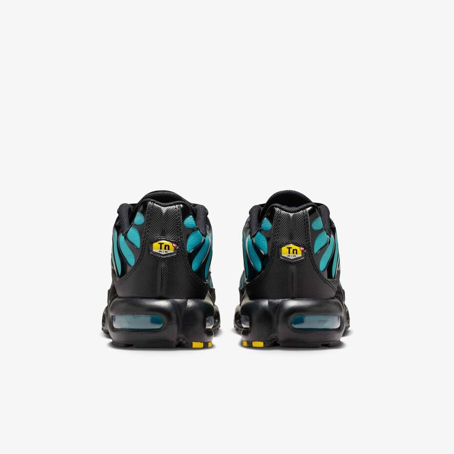 Nike Air Max Plus Tn 'Black Dusty Cactus'