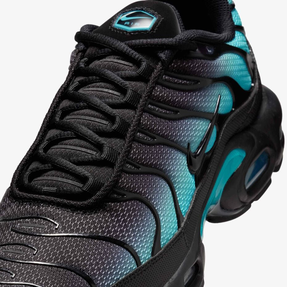 Nike Air Max Plus Tn 'Black Dusty Cactus'