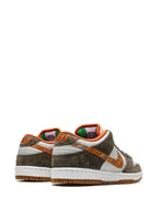 Nike x Crushed DC SB Dunk Low Pro QS