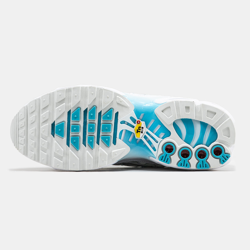 Nike Airmax TN Plus “Marseille”